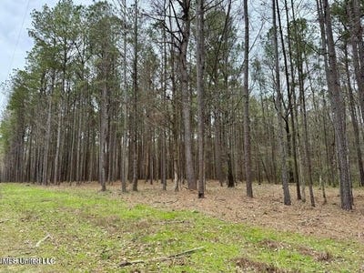 /international/us/1-robinson-road-canton-ms-110101191206/?lang=zh-cn