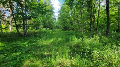 /international/us/on-hunting-river-rd-elcho-wi-110108824431/