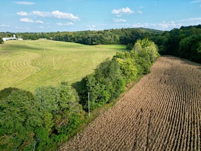 /international/us/leighs-chapel-road-greenville-ky-110110271145/