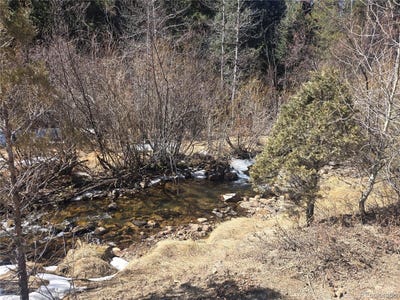 /international/us/fall-river-road-idaho-springs-co-110099640677/