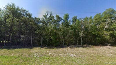 /international/us/1258-e-la-salle-street-hernando-fl-110101165027/?lang=en
