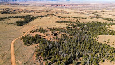 /international/us/00000-wilderness-ranch-rd-red-feather-lakes-co-110103501821/