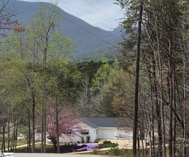 /international/us/620-oak-grove-road-landrum-sc-110099263991/?lang=en