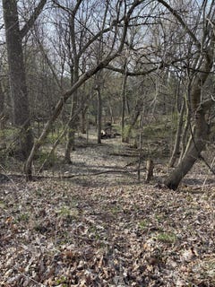 /international/us/lot-31-w-high-street-greenville-mi-110098981602/?lang=en