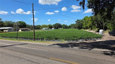 /international/us/gallagher-road-dover-fl-110107636537/