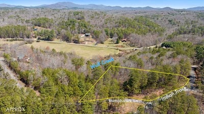 /international/us/lot-41-tomahawk-lane-mineral-bluff-ga-110098293997/?lang=zh-tw