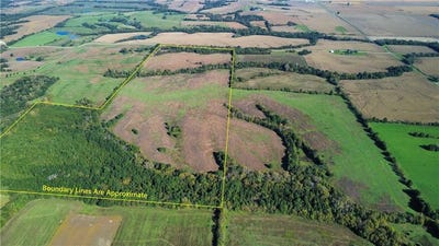 /international/us/237th-street-ridgeway-mo-110120497112/
