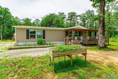/international/us/287-county-road-431-bryant-al-110100378512/