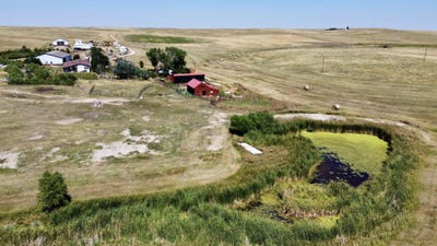 /international/us/20655-county-road-101-ramah-co-110101938808/