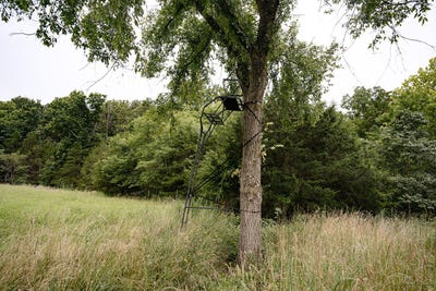 /international/us/county-road-443-cross-timbers-mo-110108015875/