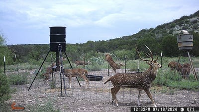 /international/us/dusty-rose-ranch-e-lot-2-rocksprings-tx-110106602176/
