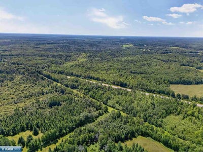 /international/us/hwy-73-floodwood-mn-110119520176/