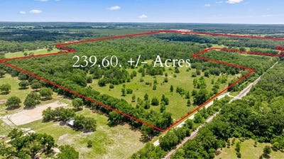 /international/us/651-se-195th-avenue-williston-fl-110099520739/