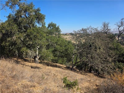 /international/us/12350-santa-ana-atascadero-ca-110110334813/