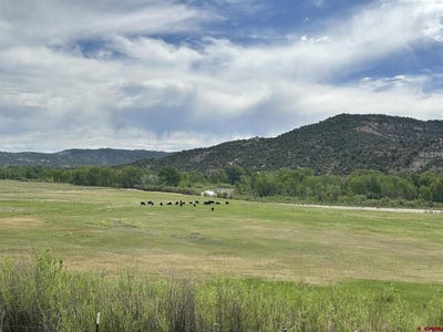 /international/us/usfs-rd-613-arboles-co-110108476522/