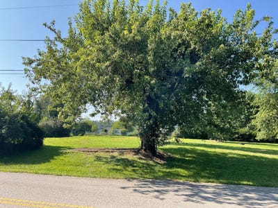/international/us/5695-marietta-road-se-new-lexington-oh-110101475076/?lang=fr