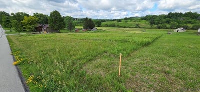 /international/us/coxes-creek-rd-somerset-pa-110109027964/