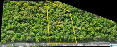 /international/us/county-road-42-lot-2-jemison-al-110108108487/