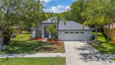 /international/us/368-tavernier-circle-oldsmar-fl-110108446218/