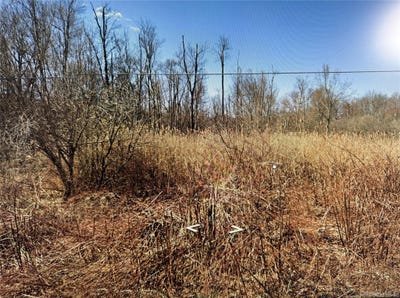 /international/us/clove-road-blooming-grove-ny-110109085871/