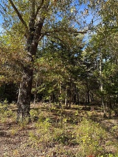 /international/us/234-private-road-34615-sumner-tx-110094873921/