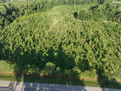 /international/us/ben-grady-collins-road-portal-ga-110109713016/