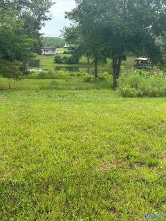 /international/us/820-county-road-359-leesburg-al-110095751195/?lang=zh-tw