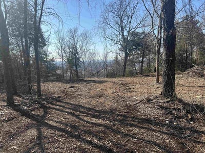 /international/us/536-leonard-lane-pottsville-ar-110095340068/