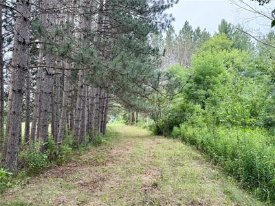 /international/us/xyz-plank-road-sturgeon-lake-mn-110101096697/?lang=zh-cn