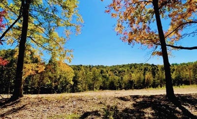 /international/us/tract-4-state-park-road-burkesville-ky-110106923296/
