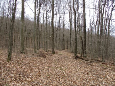 /international/us/county-road-5-bolivar-ny-110096571201/?lang=zh-tw