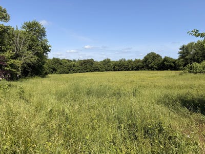 /international/us/baden-avenue-mountain-grove-mo-110108190149/