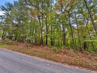 /international/us/lt-3026-francis-way-lot-3026-ellijay-ga-110120483250/