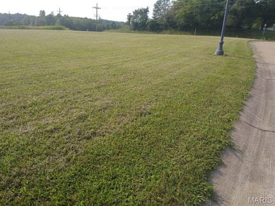 /international/us/0-victorian-drive-steeleville-il-110093421647/