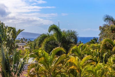 /international/us/2630-kanakanui-rd-kihei-hi-110098261789/