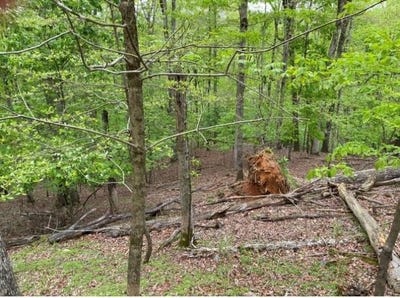 /international/us/319-zenith-trail-ellijay-ga-110101037100/?lang=zh-tw