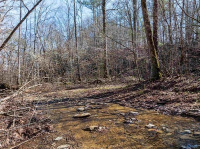 /international/us/40-acre-red-hill-road-oakman-al-110107459955/