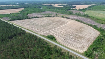 /international/us/bunn-store-road-midville-ga-110107462018/