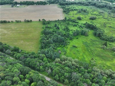 /international/us/creek-road-hinsdale-ny-110100594597/