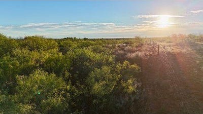 /international/us/186-county-road-cee-vee-tx-110120459648/