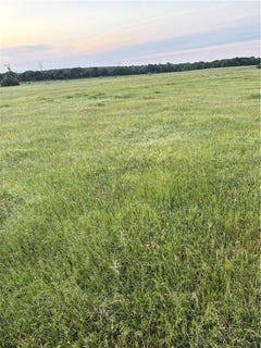/international/us/tbd-east-fm-2293-farm-to-market-road-bremond-tx-110099201713/
