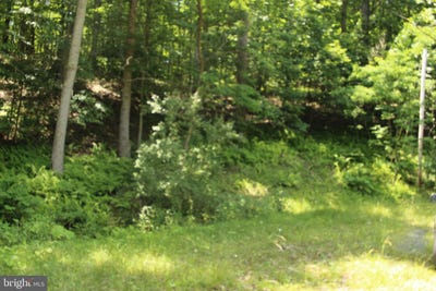 /international/us/nethers-sperryville-va-110107075417/