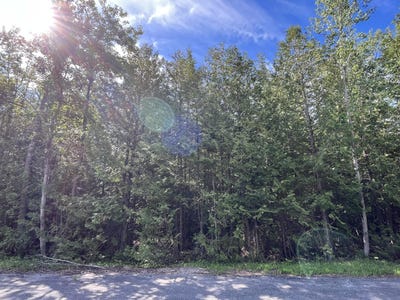 /international/us/firhaven-court-lot-40-presque-isle-mi-110108981871/