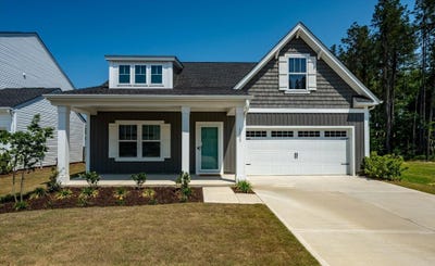 /international/us/1033-marsh-harrier-ravenel-sc-110105108522/