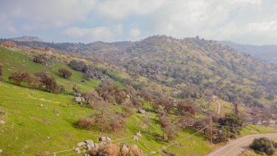 /international/us/38938-pepperweed-rd-yokuts-valley-ca-110108547244/