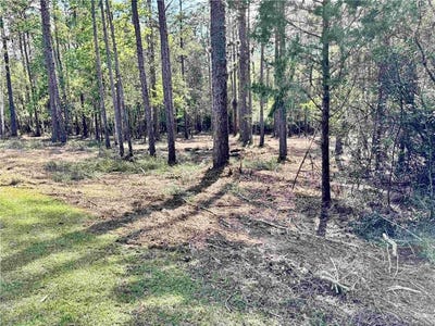 /international/us/steelwood-ridge-road-loxley-al-110107894305/