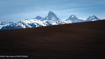 /international/us/2255-moose-path-way-tetonia-id-110100045204/