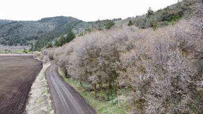 /international/us/tbd-mcpherson-canyon-rd-grace-id-110107631522/
