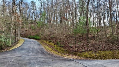 /international/us/hollywalk-trail-lot-4-sylva-nc-110106118978/