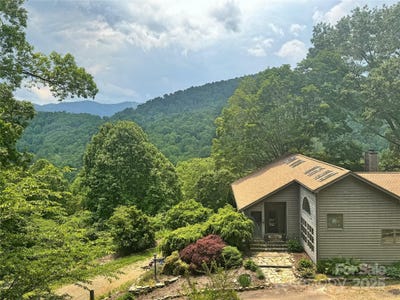 /international/us/311-pisgah-mine-road-burnsville-nc-110098682496/?lang=fr